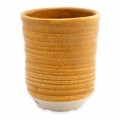 C-646 SW Electric Ash 8 Oz.