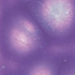 S2723-16 Grape Divine